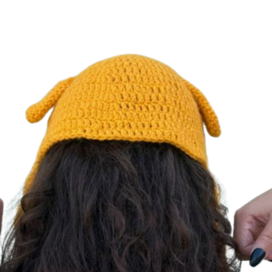 Crochet Jake the Dog Inspired Character Hat | Cartoon Cosplay Beanie for Kids & Adults | Sizes Newborn to Adult | Jake